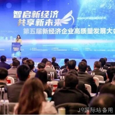 J9国际站备用</a>荣登“2024中国新经济企业TOP500”